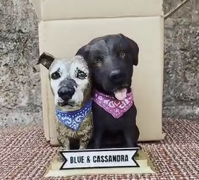 perro.jpg