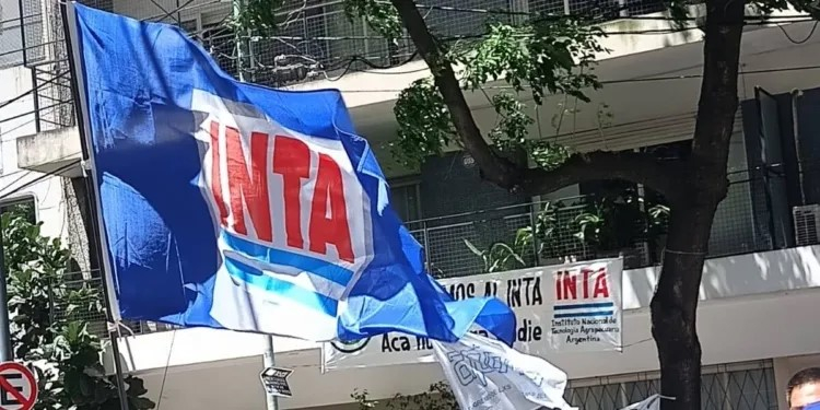 bandera inta.jpg