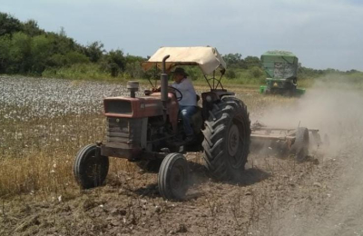 Fuerte rechazo de los productores a la derogación del Fondo Algodonero