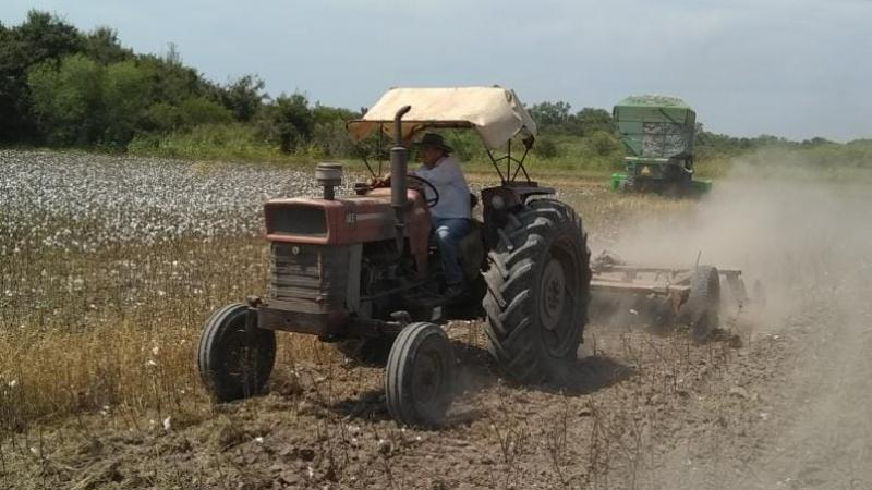 Fuerte rechazo de los productores a la derogación del Fondo Algodonero