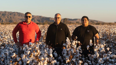 La fibra extralarga es una realidad y va camino hacia la industria textil