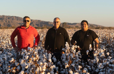 La fibra extralarga es una realidad y va camino hacia la industria textil