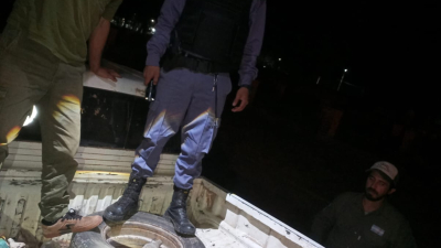 Cazadores furtivos huyeron del Parque Loro Hablador y abandonaron 23 quirquinchos bola