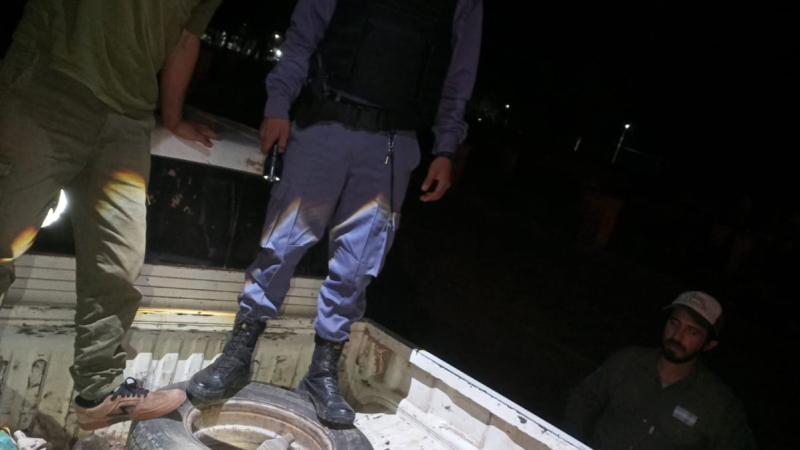 Cazadores furtivos huyeron del Parque Loro Hablador y abandonaron 23 quirquinchos bola