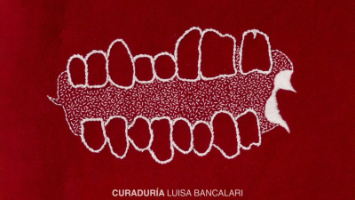 María Laura Ise, artista-investigadora