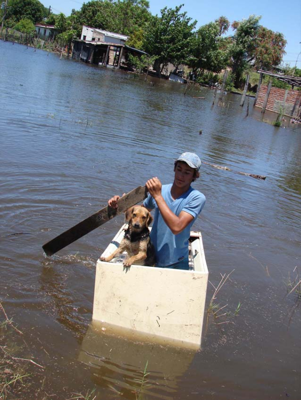 <p>"Siempre a tu lado" en 2009 las inundaciones nuevamente afectaron a Barranqueras. El amigo fiel acompaña en toda circunstancia.  </p>