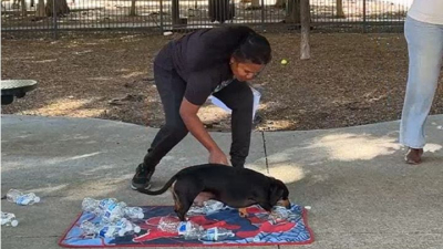 Jerry, el perro salchicha que conquistó un Récord Guinness destapando botellas