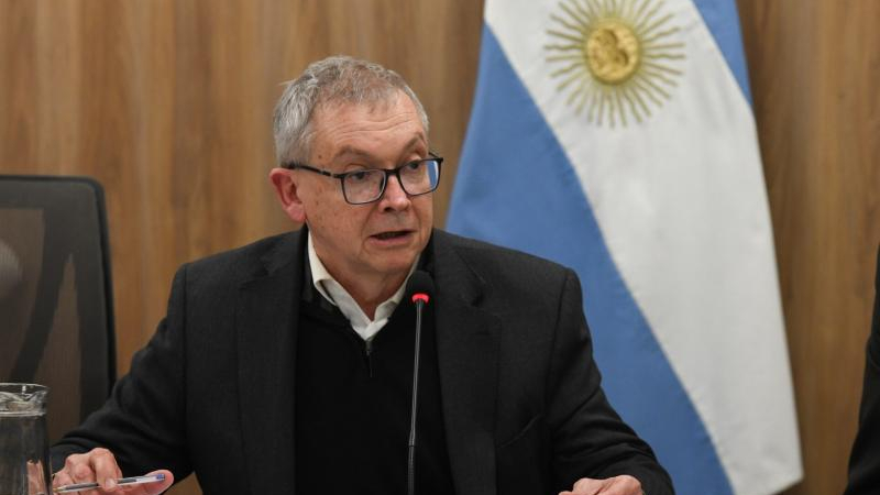 Pedrini: "Enmendamos el error de darle a Milei facultades delegadas"