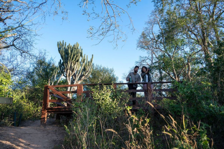 Refugio de Monte (Foto-Andi Villarreal).jpeg