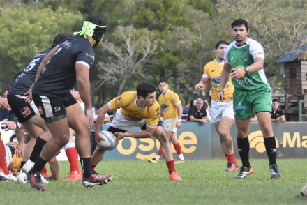 rugby3.jpg