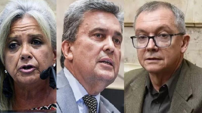 Renovación completa entre los representantes chaqueños