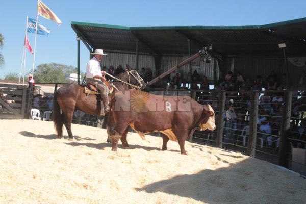 Foto: Fabian Maldonado.