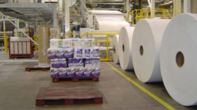 Empleos en riesgo y futuro incierto para la industria papelera