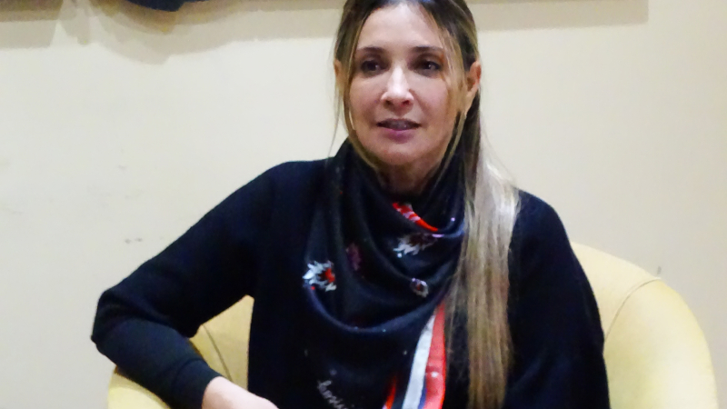 "Diputados y senadores que representan al Chaco están más en las redes que en el territorio"