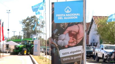 Pasen, vean, este es el camino del algodón