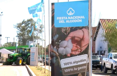 Pasen, vean, este es el camino del algodón