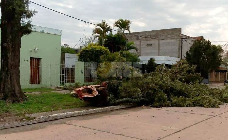 caida dos.jfif