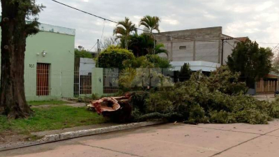 Fuerte viento con características de tornado causó múltiples daños
