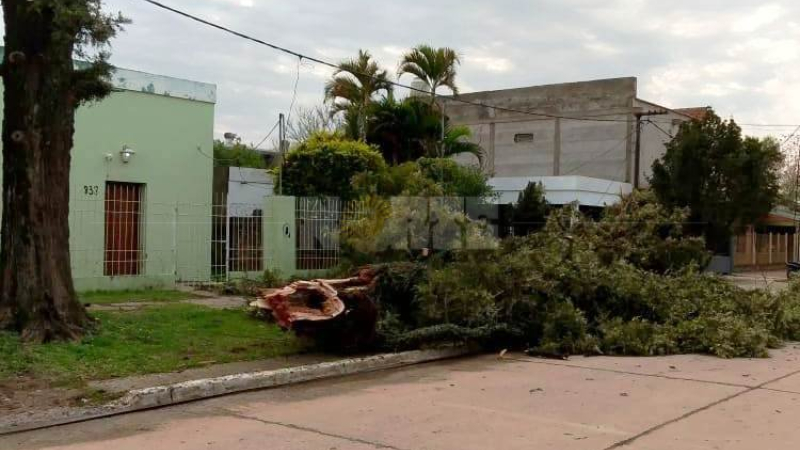 Fuerte viento con características de tornado causó múltiples daños