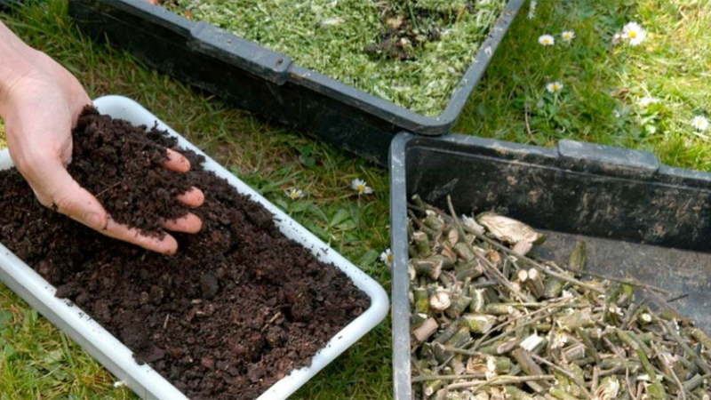 Invitan al taller de compostaje en el Jardín Botánico