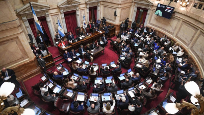 El Senado revirtió otros dos vetos de Milei