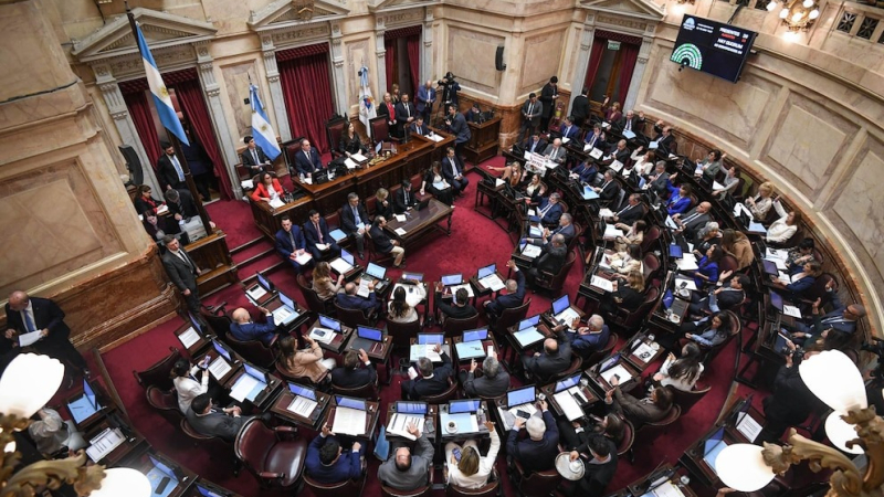 El Senado revirtió otros dos vetos de Milei