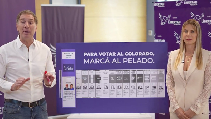 "Para votar al colorado, marcá al pelado"