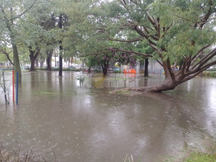 lluvia 7.jpg