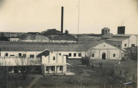 las palmas 2.jpg