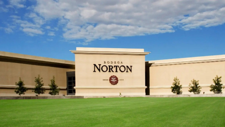 norton2.jpg