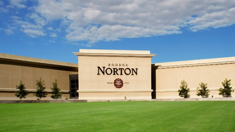 Bodega Norton en concurso de acreedores