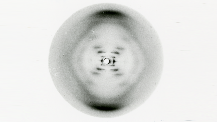 Foto51 - adn.png