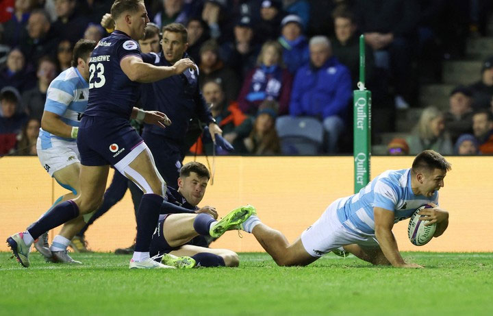 pumas3.jpg