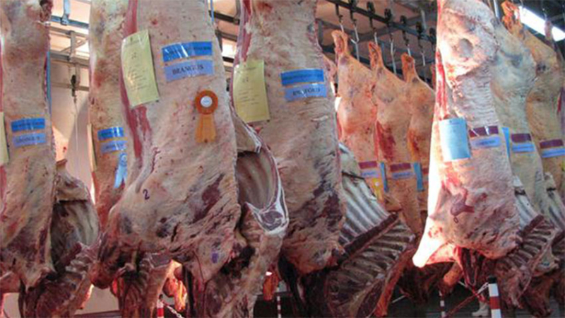 Por la mejora del precio internacional subieron las exportaciones de carne 