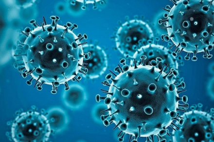 coronavirus.jpg