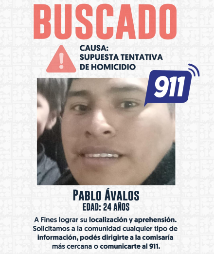 ava cuatro.jpg