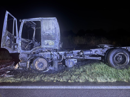camion2.jpg