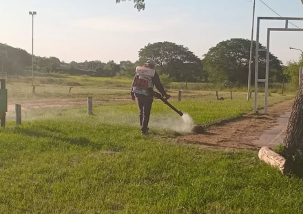 fumigacion.jpg