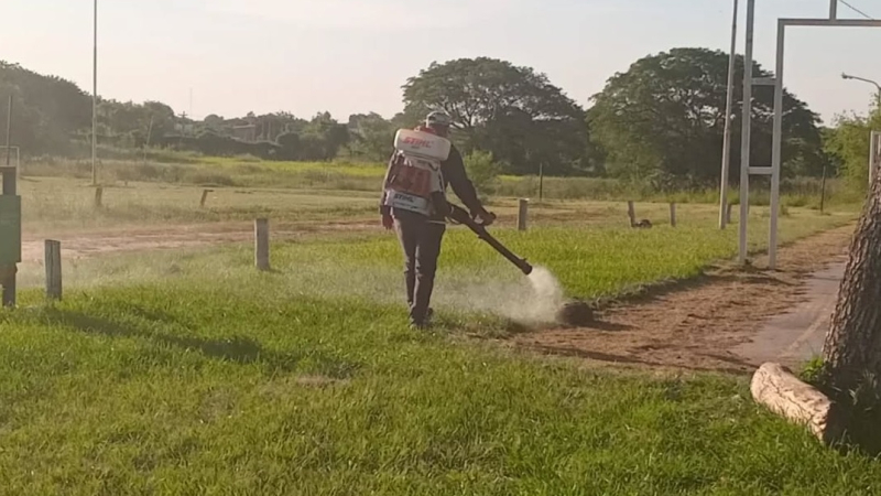  Avanzan las tareas de fumigación en Fontana