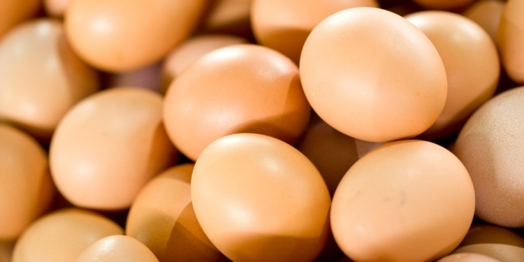 huevos.jpg