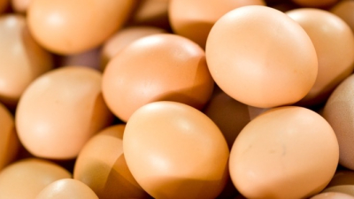 Los productores de huevos, víctimas de su propio éxito 