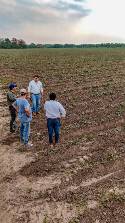 El MPyA y productores de batata (1).jpeg