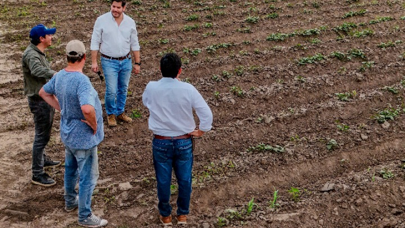 Formosa, tercera productora nacional de batata