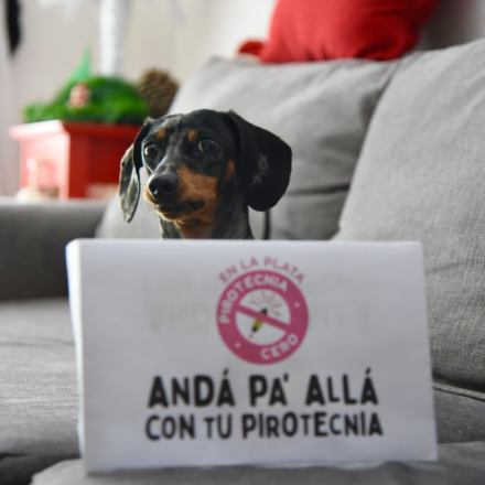 anda-pa-alla-pirotecnia-1.jpg