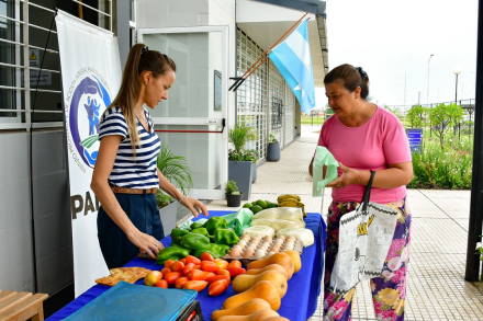 Feria paippa -11.jpg