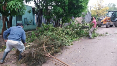 Operativo de desmalezamiento y corte de ramas en Barranqueras