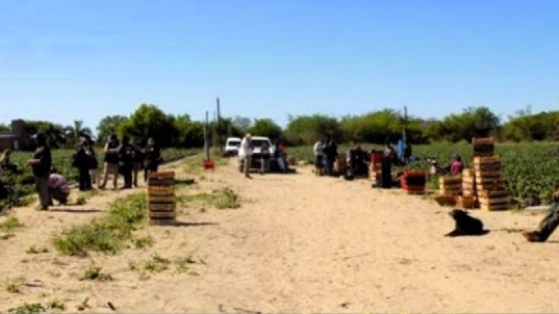Trabajadores rurales chaqueños eran obligados a bañarse en el monte y beber de envases de agroquímicos