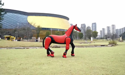 caballo