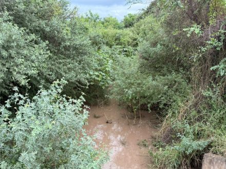 Rápida respuesta de la DPV tras las últimas lluvias (4).jpeg