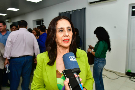 La diputada nacional por Formosa Graciela de la Rosa.jpeg